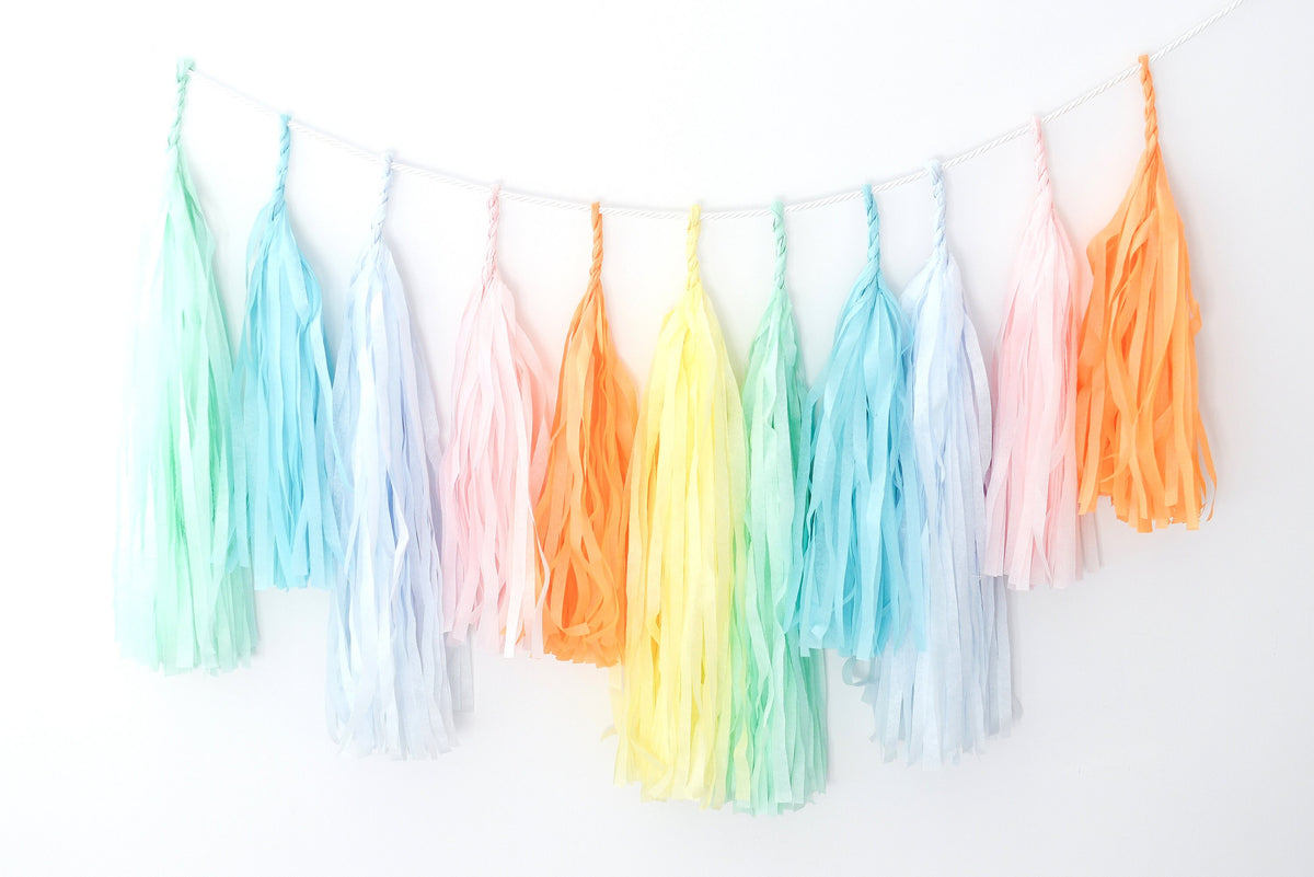 Pastel Rainbow Tissue Paper Tassel Garland: Party Decor