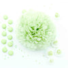 Light green Paper pom pom party decoration wedding decor  Baby shower decor  Paper flowers
