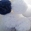 Tissue paper pom pom Party decoration set 25 PSC custom colors mixed sizes boho Wedding decorations baby shower birthday party papae flowers