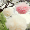 Tissue paper pom pom Party decoration set 25 PSC custom colors mixed sizes boho Wedding decorations baby shower birthday party papae flowers