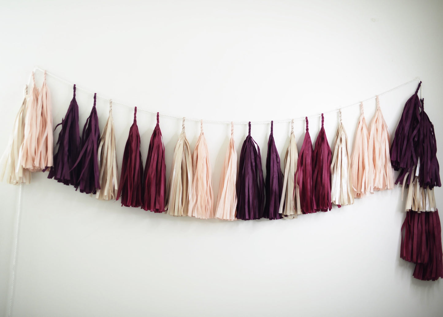 Burgundy Aubergine Tassel Garland, Champagne Dusty Pink Paper Wedding Backdrop Decor