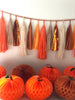 Fall party decorations paper tassel GARLAND orange beige paper fringe garland Halloween baby shower wedding birthday part home decor