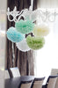 16 large size tissue paper PomPoms set - custom colours- custom colours - wedding party decorations for birthday, baby shower