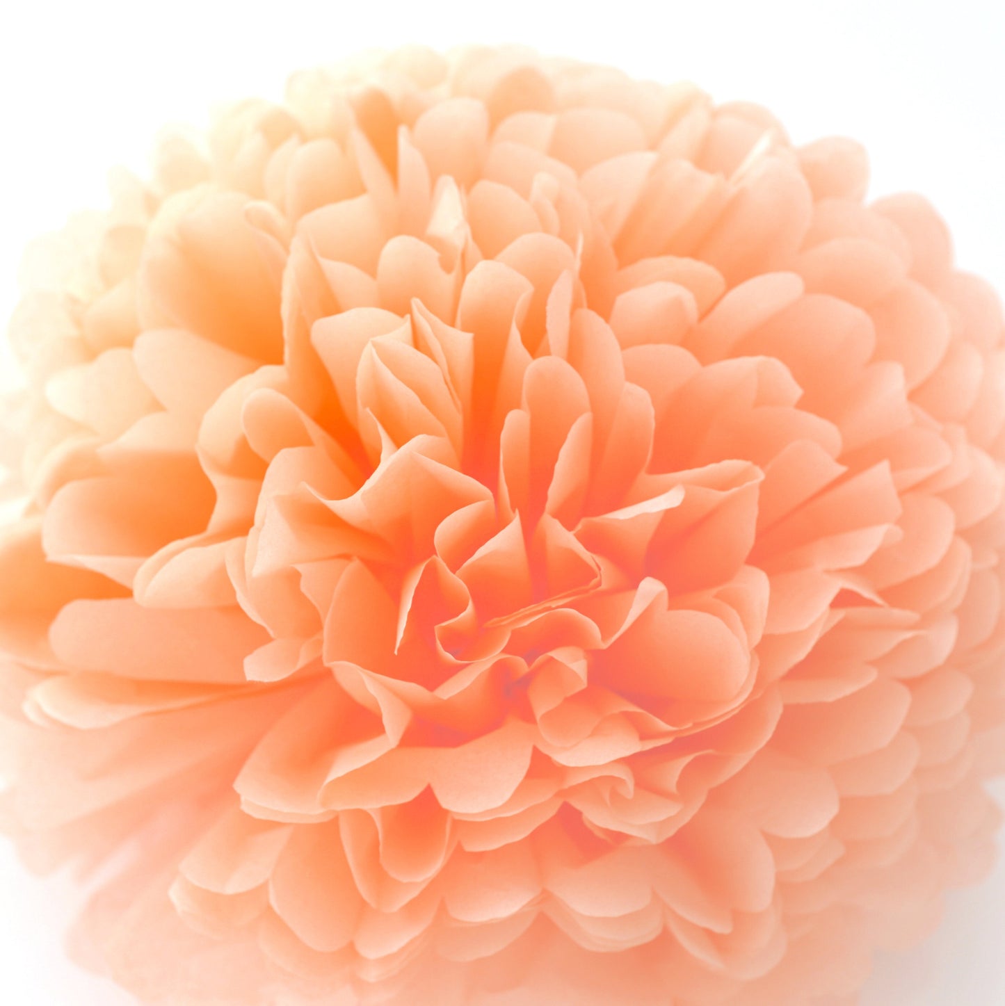 Peach paper pom pom party decorations pastel orange  Paper flower wedding, birthday party, baby shower decor fall colour theme wedding decor