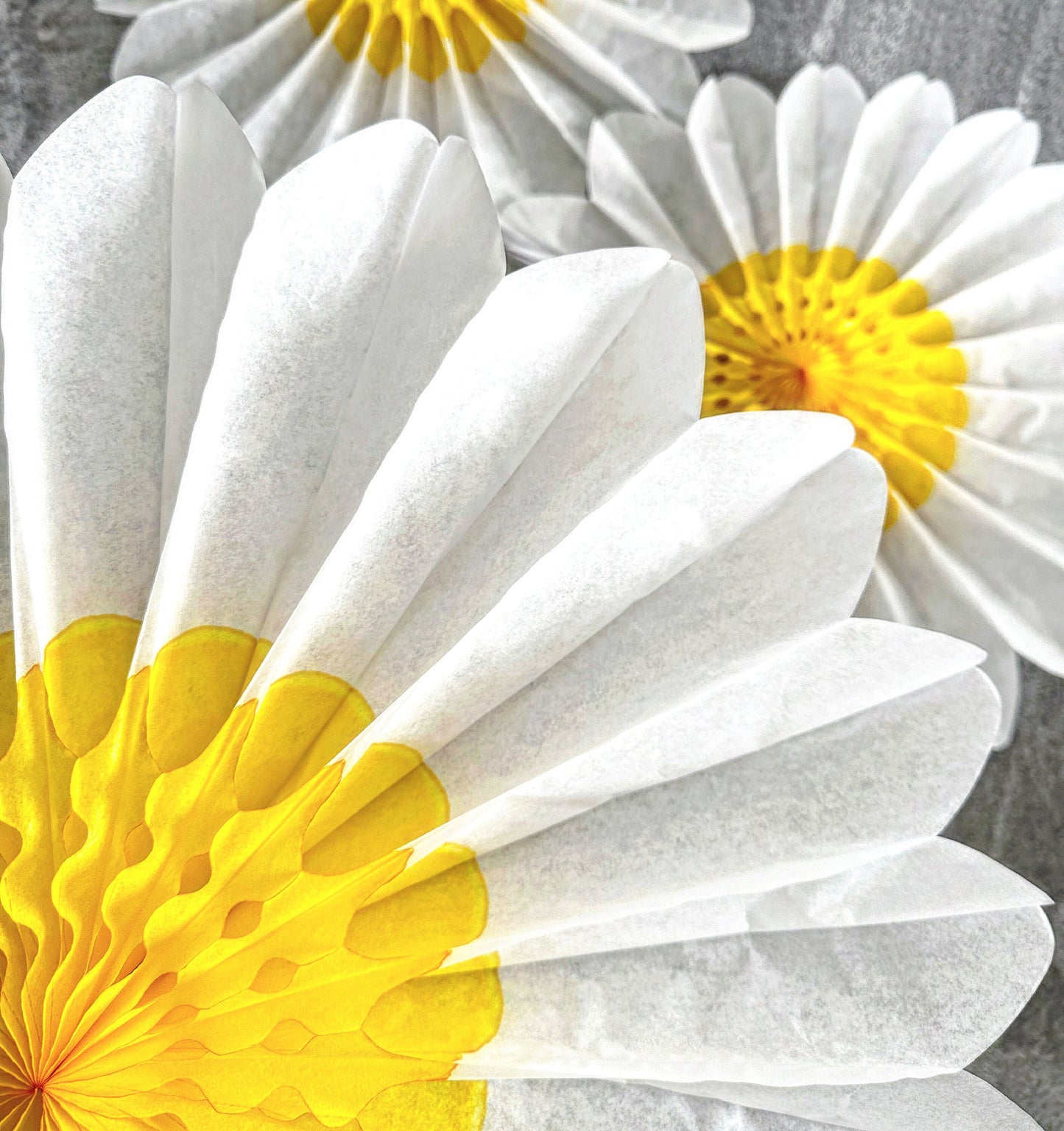 Set of 3 Beautiful White and Yellow Paper Daisy Flowers Huge Paper Fan Party Decorations for Weddings and birthday easy to use paper flowers