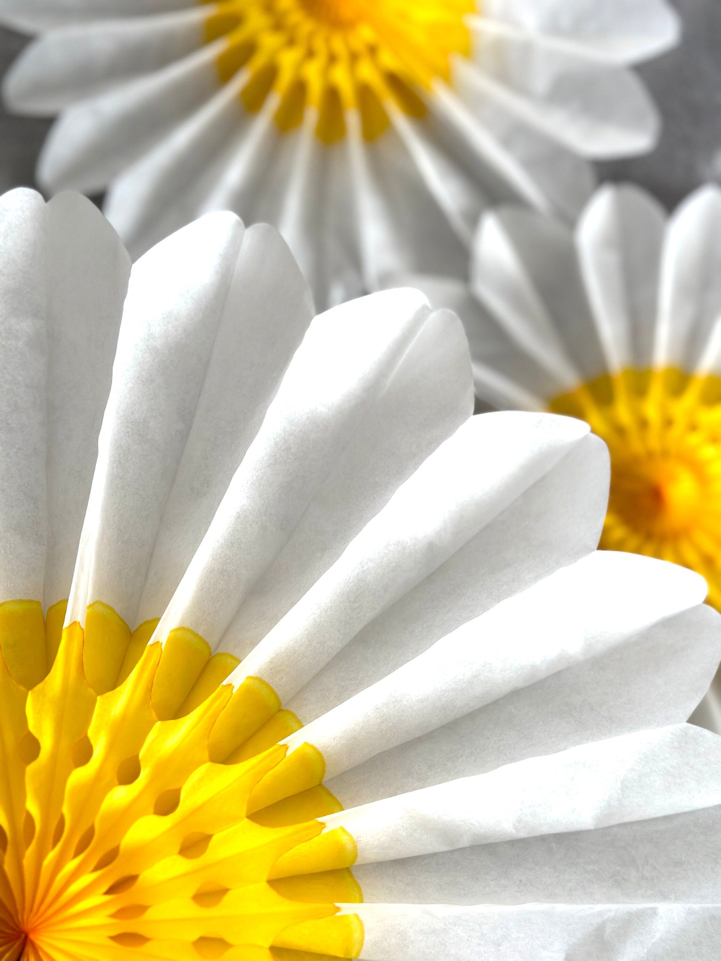 Set of 3 Beautiful White and Yellow Paper Daisy Flowers Huge Paper Fan Party Decorations for Weddings and birthday easy to use paper flowers