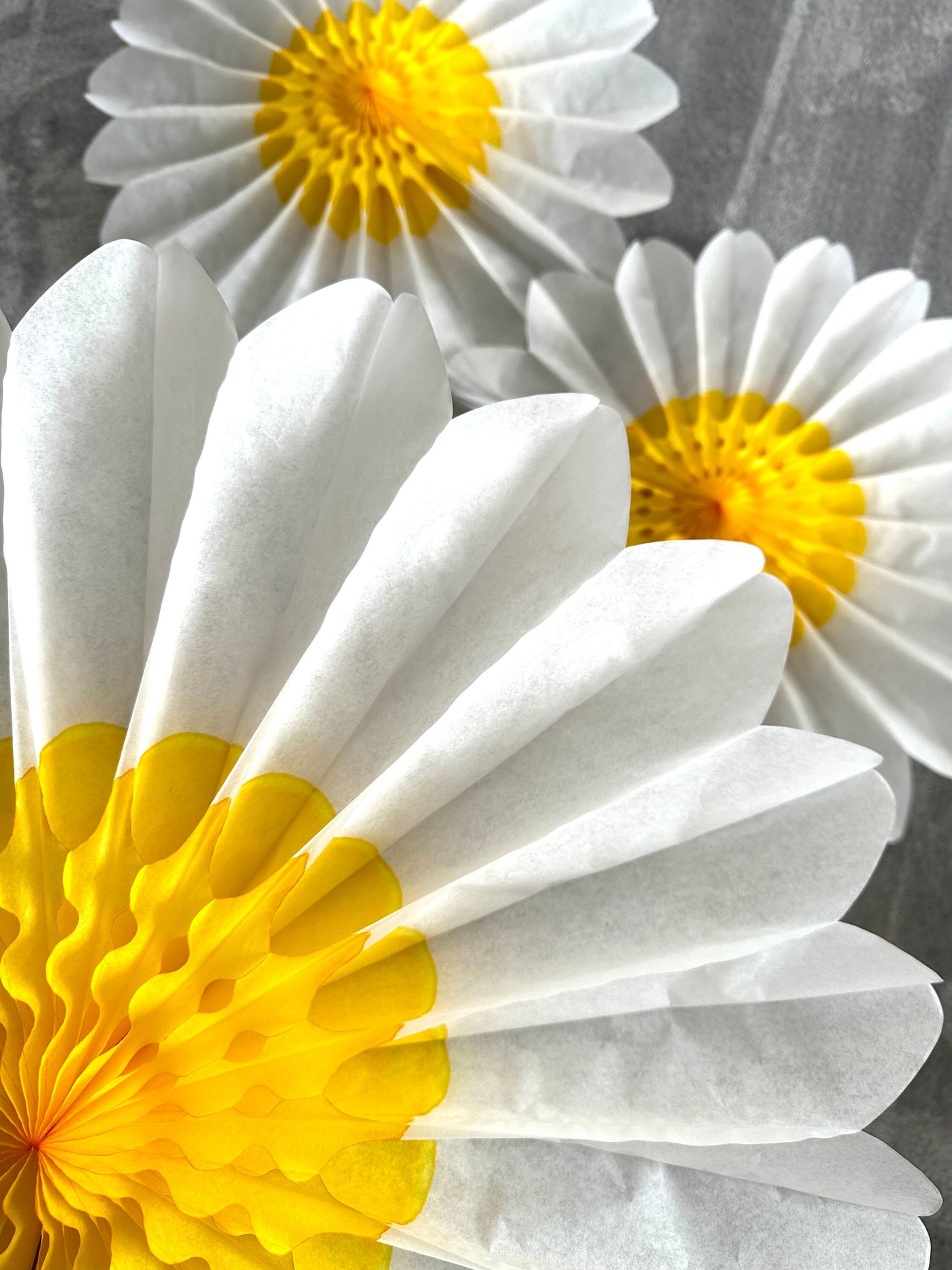 Set of 3 Beautiful White and Yellow Paper Daisy Flowers Huge Paper Fan Party Decorations for Weddings and birthday easy to use paper flowers