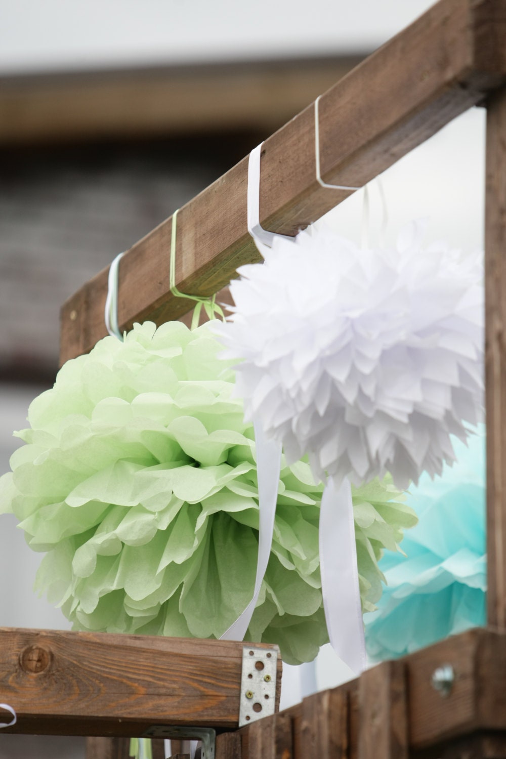 Paper pom poms Party decoration set of 6  and Paper lantern in custom colours- wedding, birthday party, baby shower, bridal shower decor