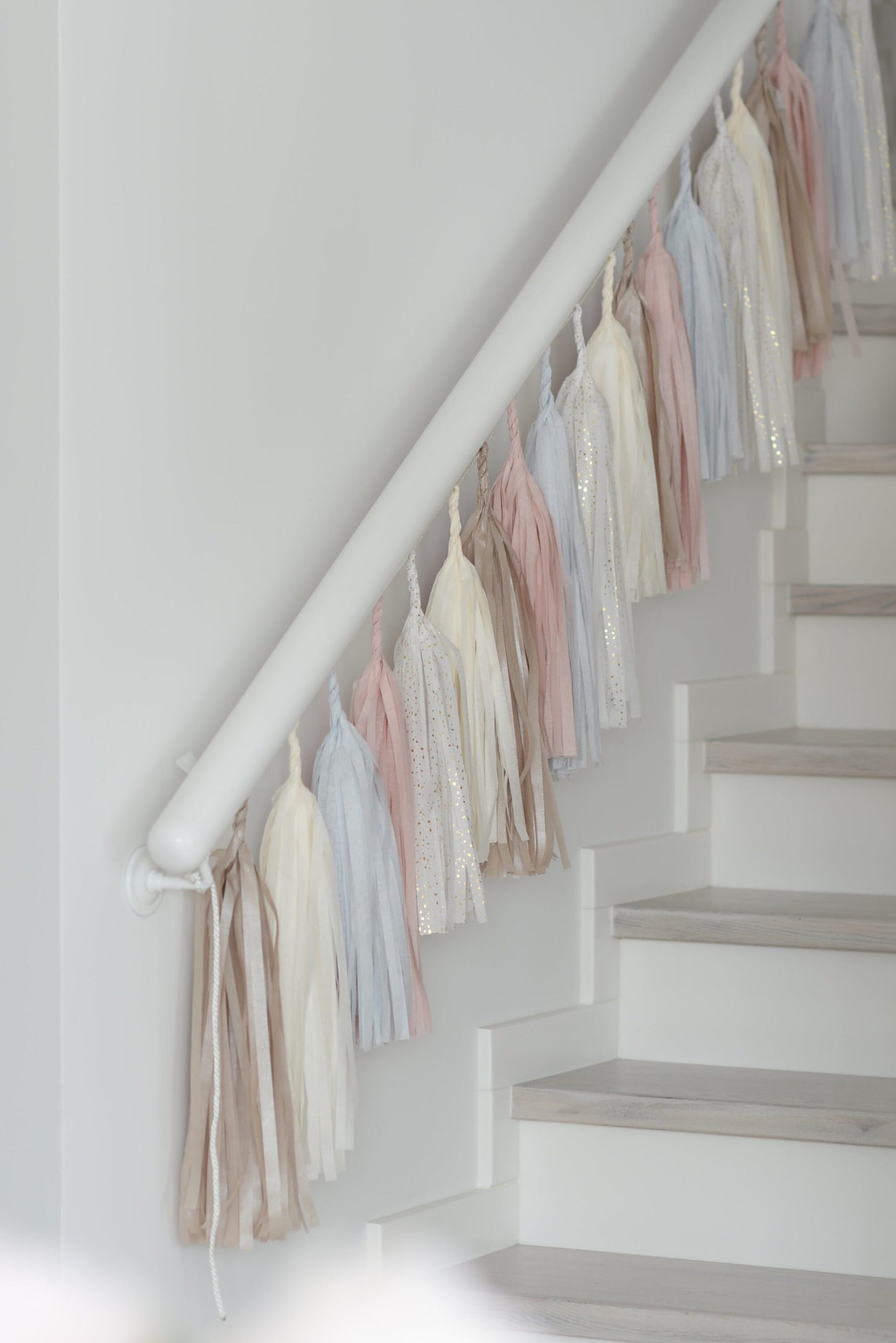 Dusty Rose Dreams: Blush and Champagne Soirée Paper Tassel Garland  Fringe Garland  Wedding Banner Party Decorations
