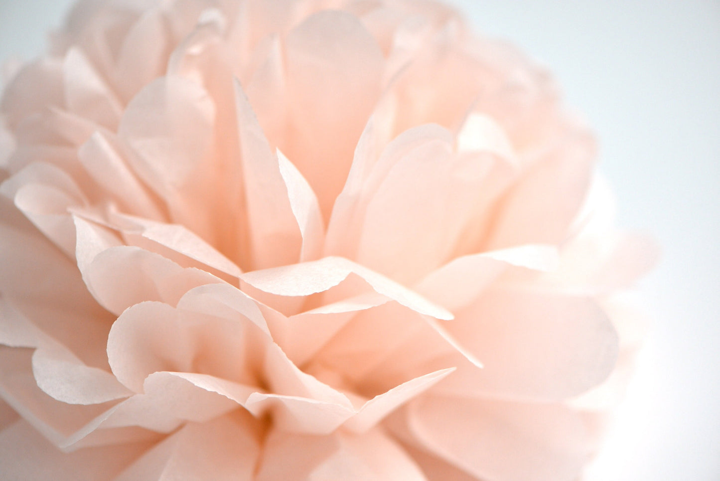 Blush pink Tissue paper pom pom party decorations rose pink paper flowers boho wedding, baby shower, birthday, tea party, garden party decor