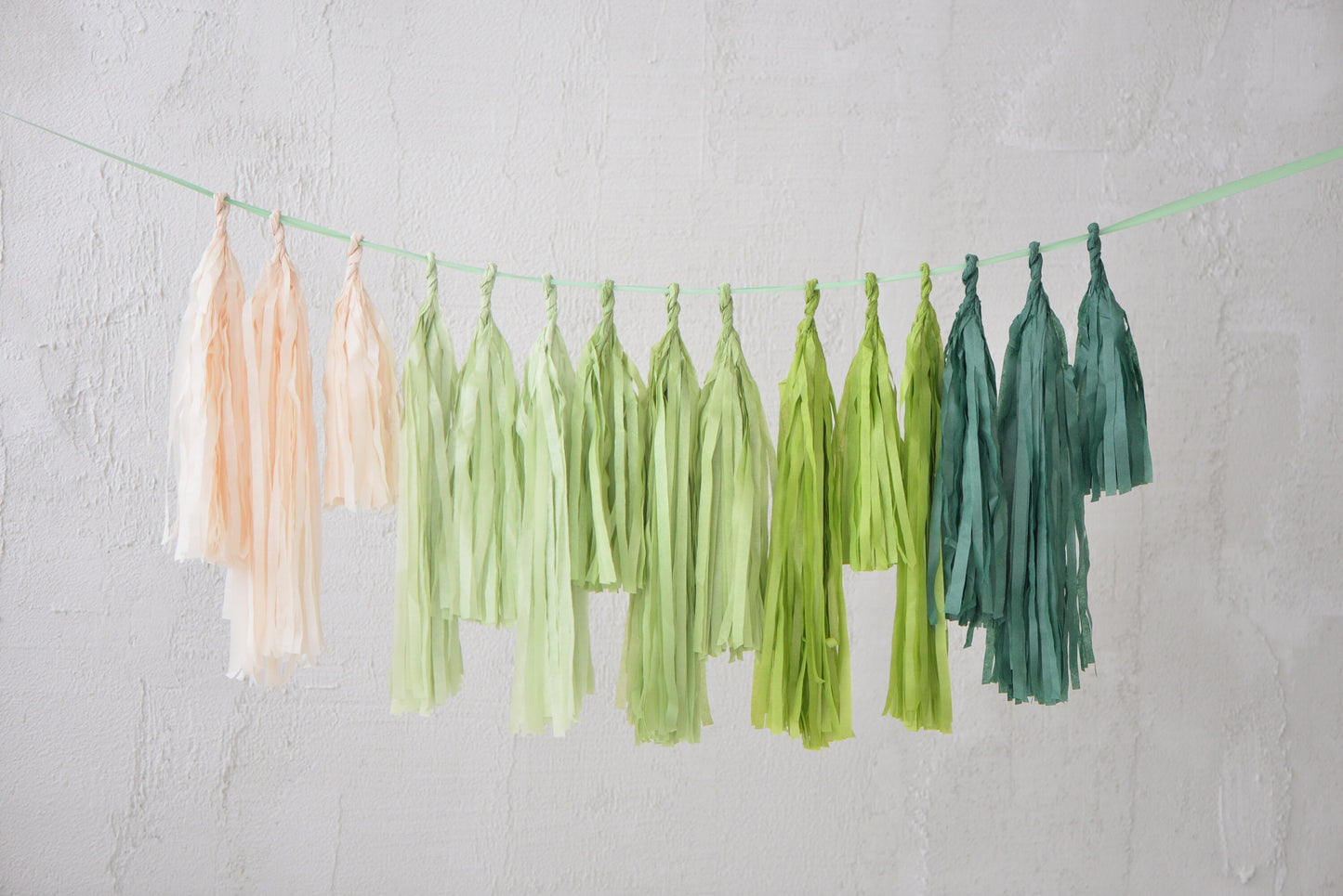 Sage Green Paper Tassel Garland Handmade Party Banner