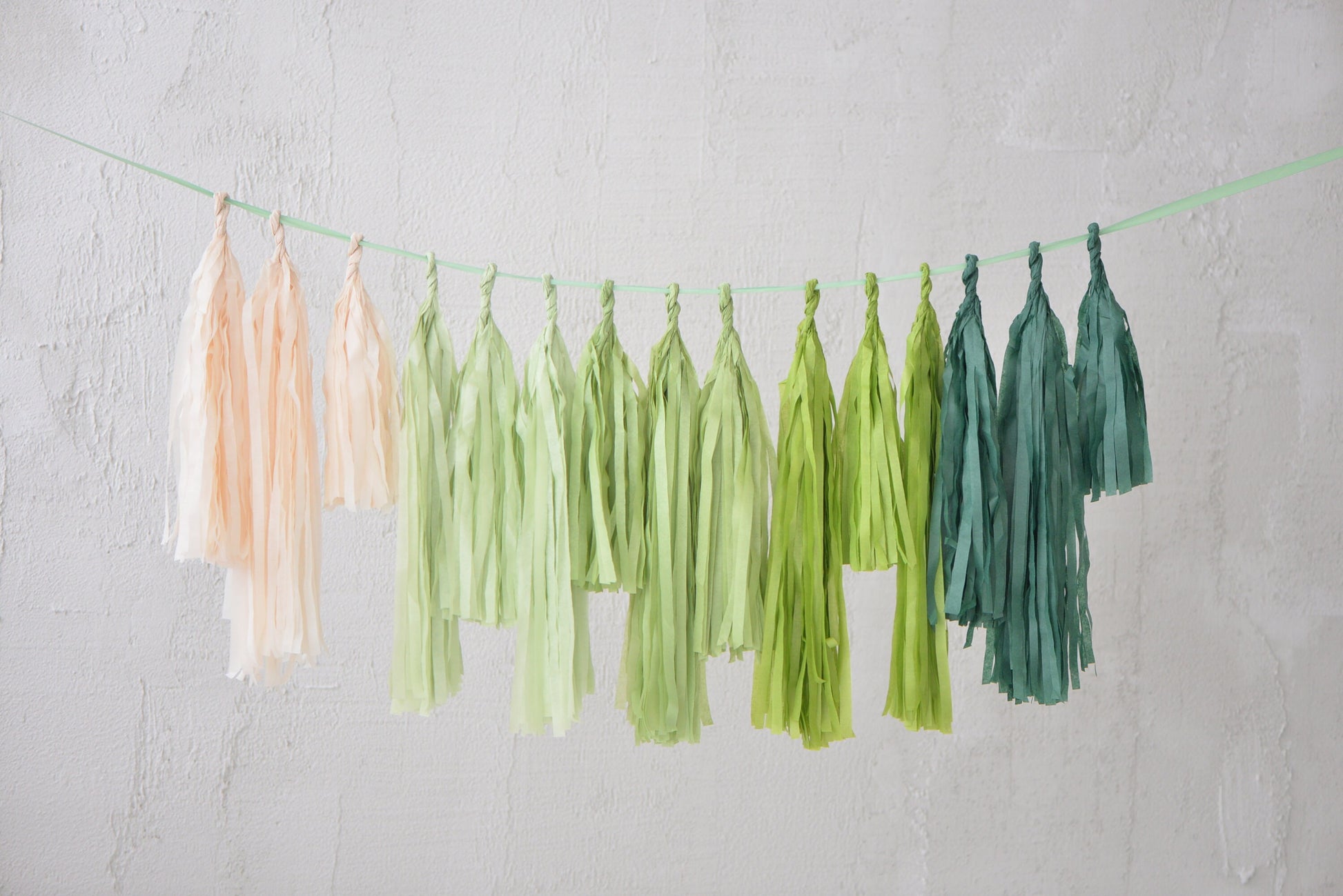 Sage Green Paper Tassel Garland Handmade Party Banner