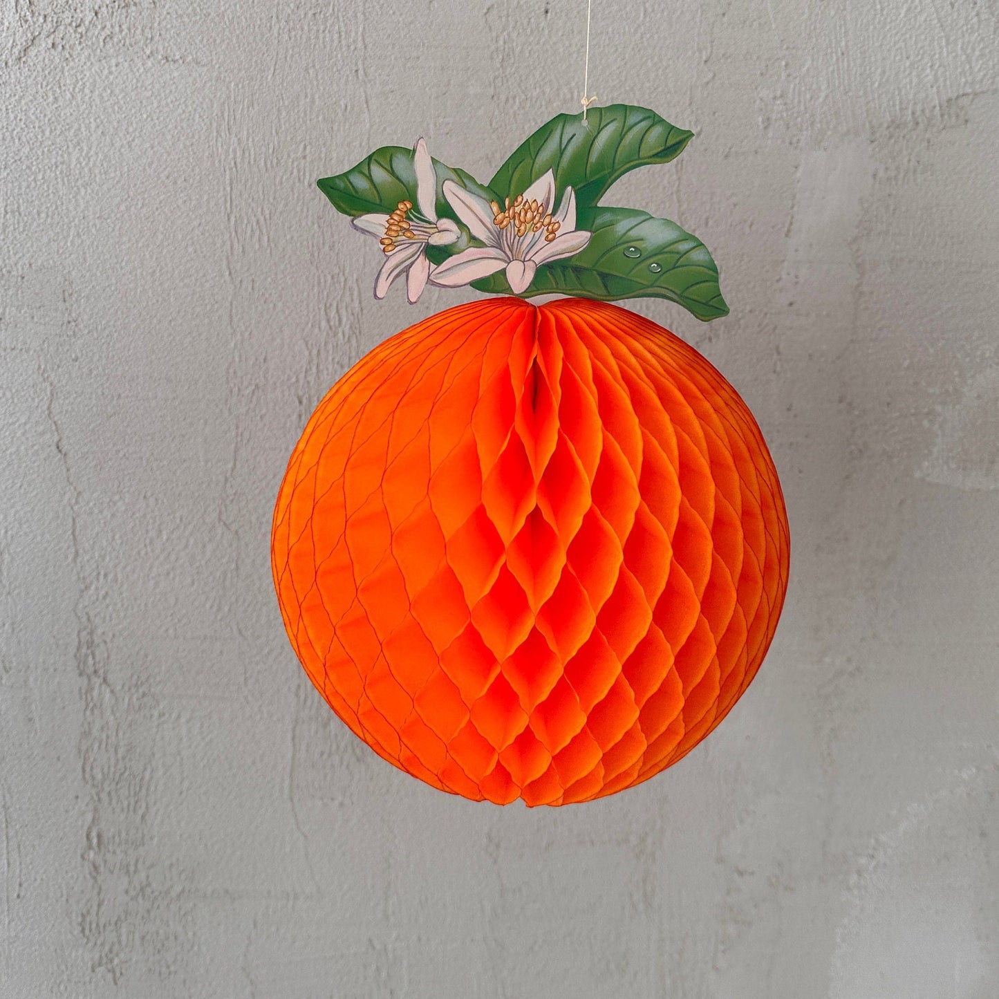 Large Paper Honeycomb Orange party decorations 35cm fruit birthday party citrus baby shower table decorations, classroom window display