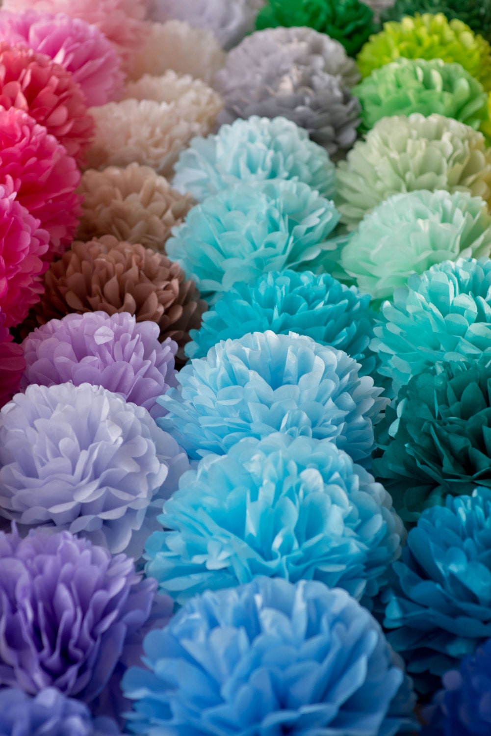 Tissue Paper Pom Poms – Set of 14 Fluffy Party Decorations for Weddings, Showers, Birthdays, and Custom Events