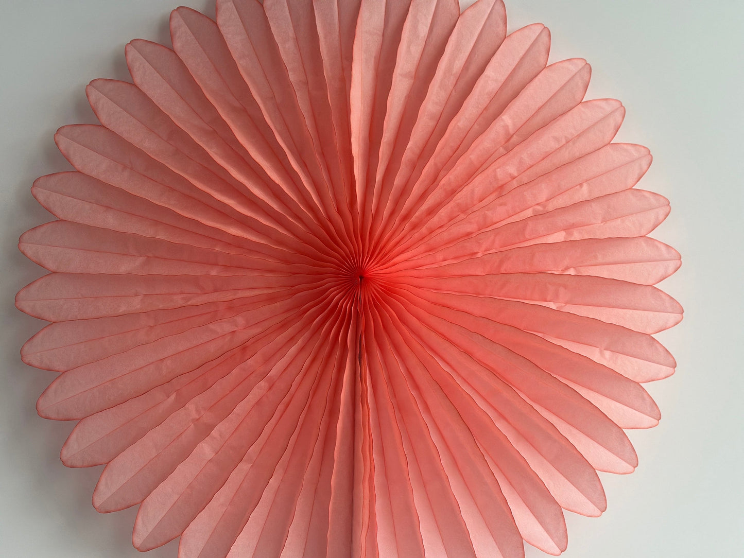 Huge coral rose paper Fan  67cm  / 26" Decorative paper Fan lilac wedding birthday partyPaper Decor photo wall, backdrop eco friendly