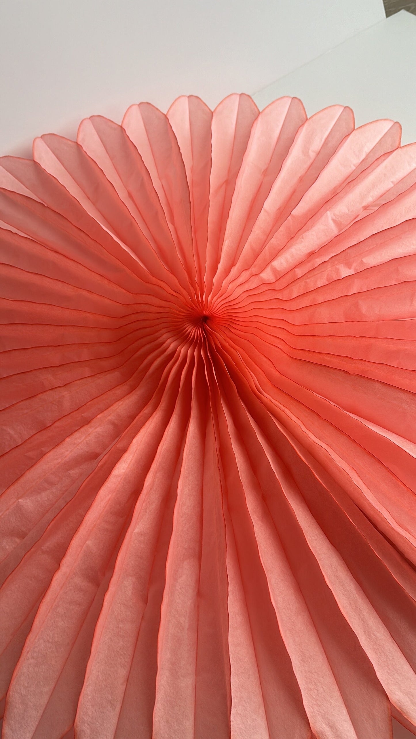 Huge coral rose paper Fan  67cm  / 26" Decorative paper Fan lilac wedding birthday partyPaper Decor photo wall, backdrop eco friendly