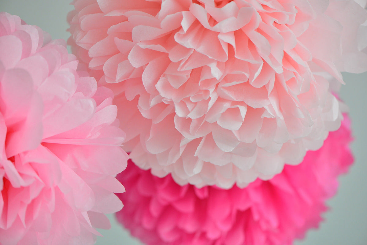 light Pink and hot pink paper pom poms set | Paper flowers set of 10 | romantic wedding decorations eco friendly