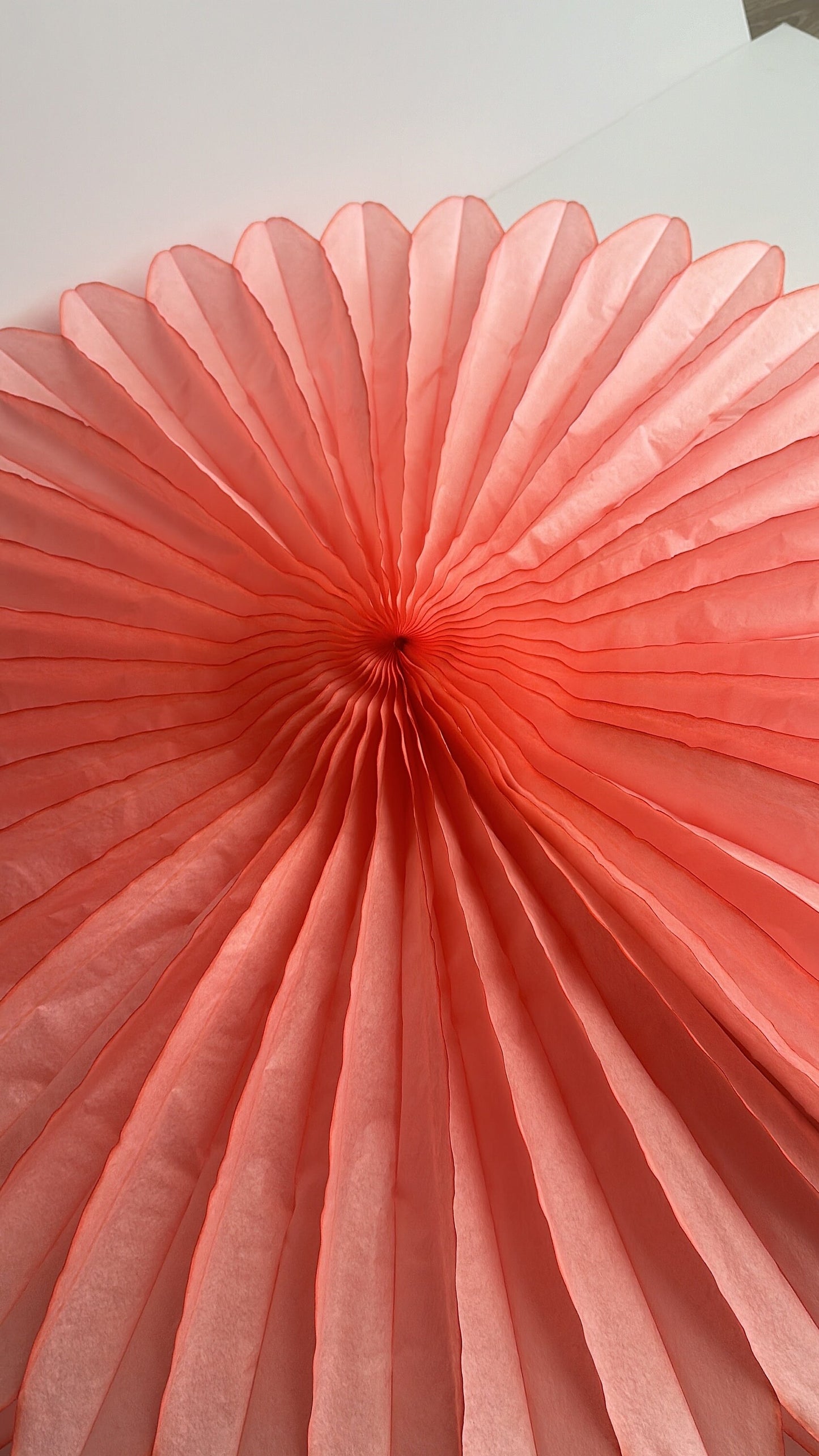 Huge coral rose paper Fan  67cm  / 26" Decorative paper Fan lilac wedding birthday partyPaper Decor photo wall, backdrop eco friendly