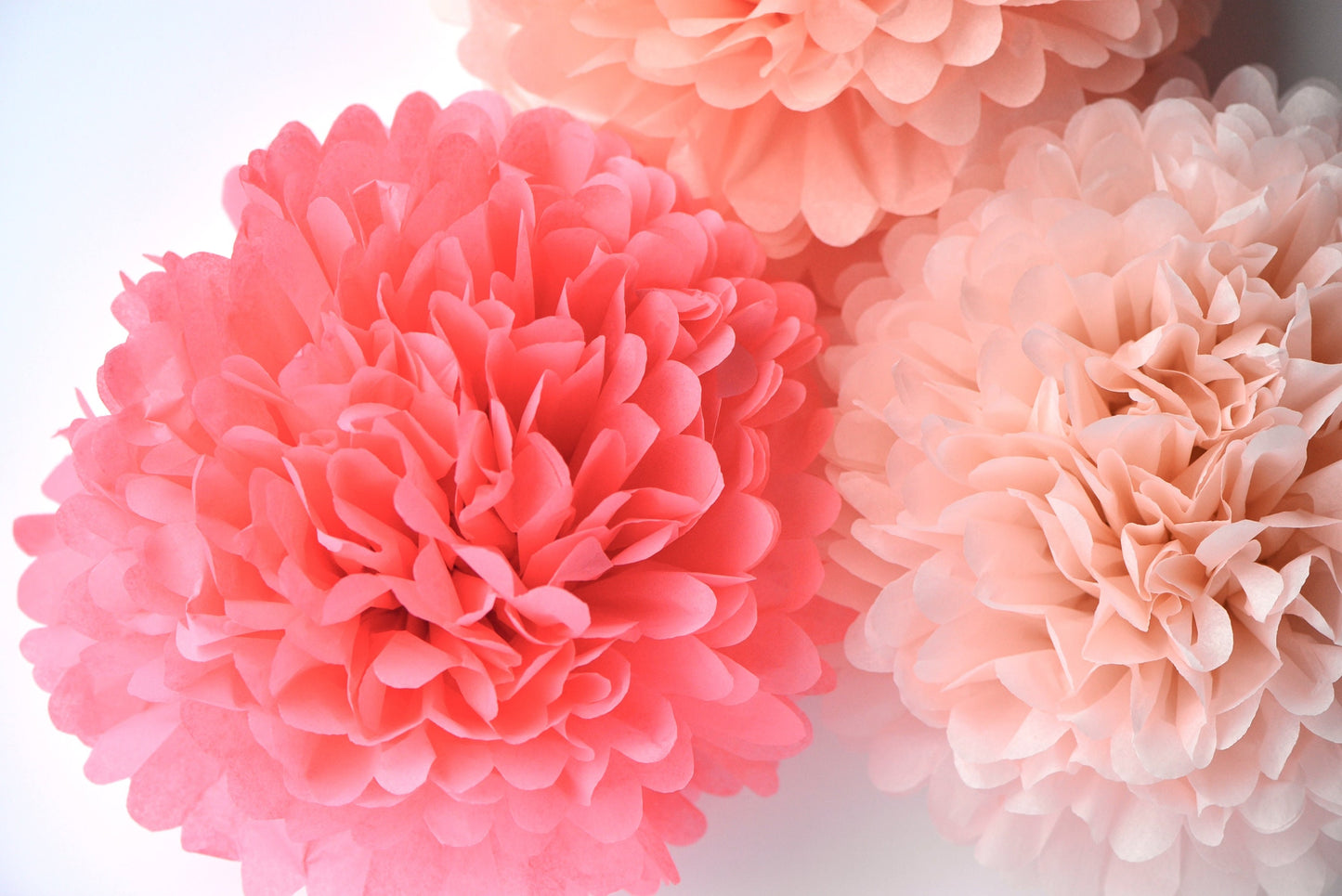 Blush, peach and coral rose paper pom poms party decorations set 10/12/16 wedding birthday party decor paper flowers eco friendly decor