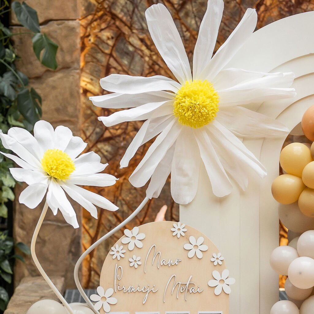 Huge Crepe Paper Flowers – Realistic Daisy Decorations for Weddings, Birthdays, and Party Backdrops in Various Sizes