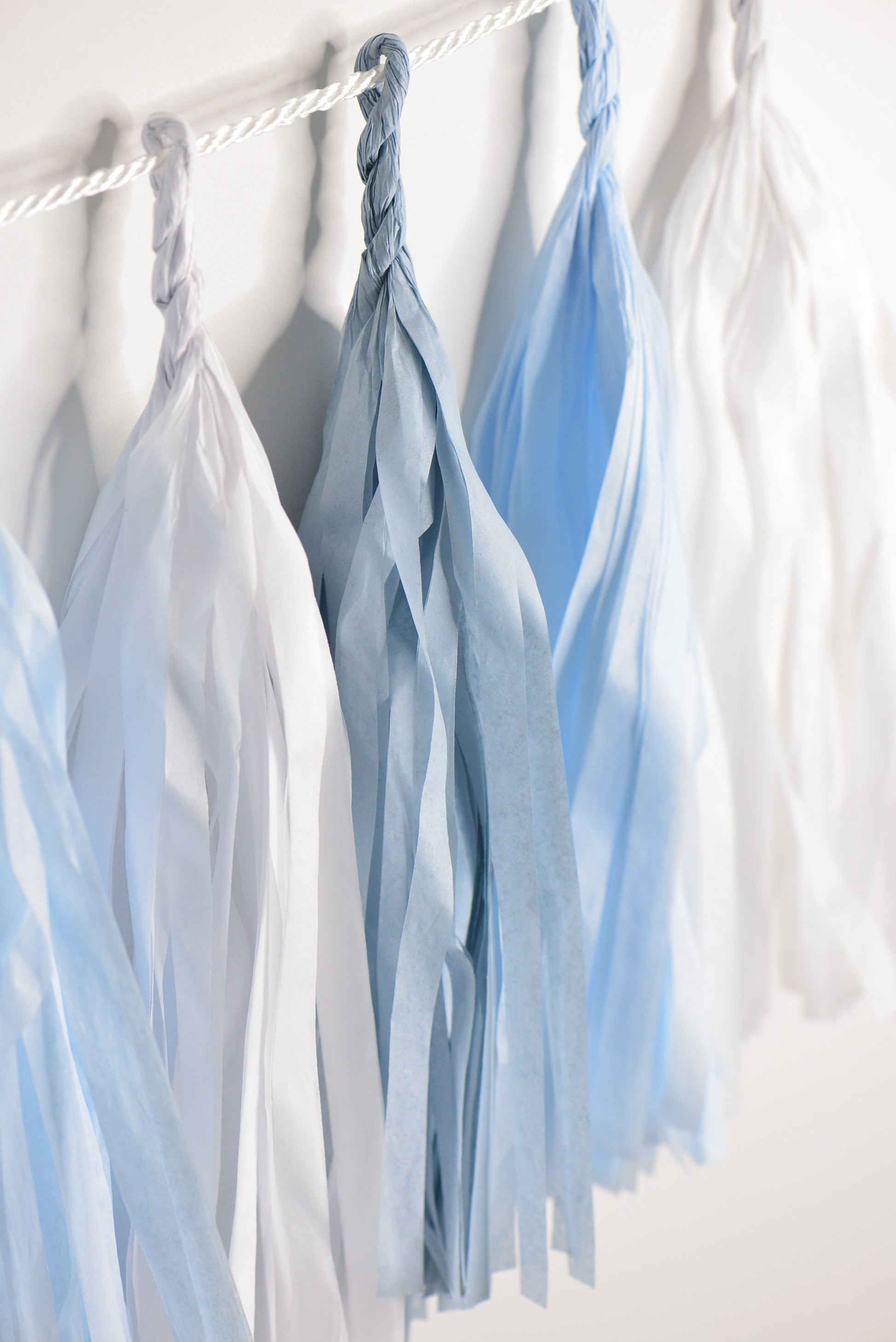 Blue & White Tissue Paper Tassel Garland: Party Decor