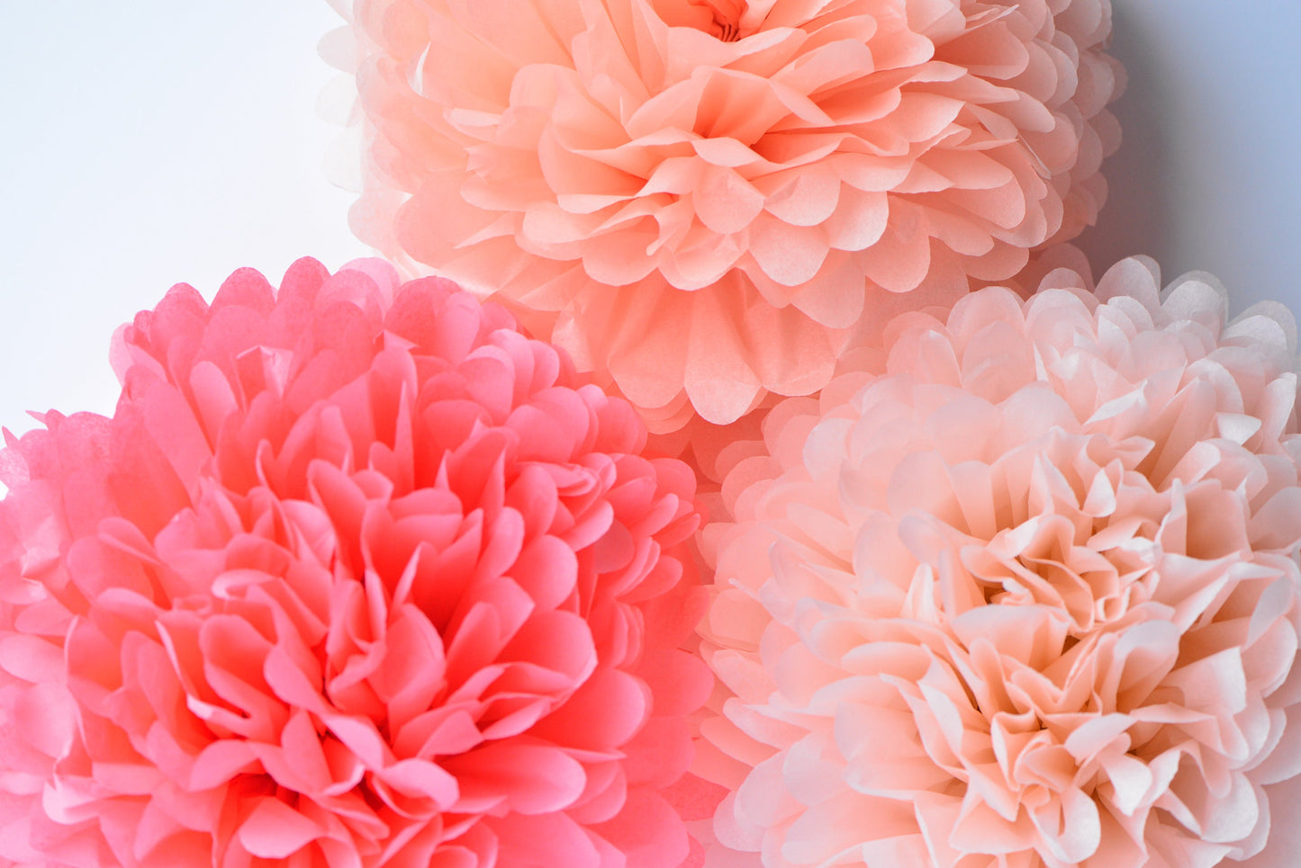 Blush, peach and coral rose paper pom poms party decorations set 10/12/16 wedding birthday party decor paper flowers eco friendly decor