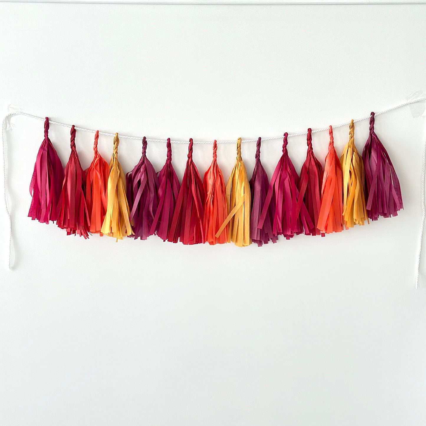 Handmade Paper Tassel Garland – Fall-Inspired Boho Party Décor | Fully Assembled & Customizable | Wedding, Baby Shower, Birthday Nursery