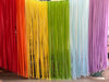 Rainbow fringe curtain Backdrop, Fringe Backdrop, Color Birthday Party Decorations, Photo Backdrop,  party Decorations, photo backdrop
