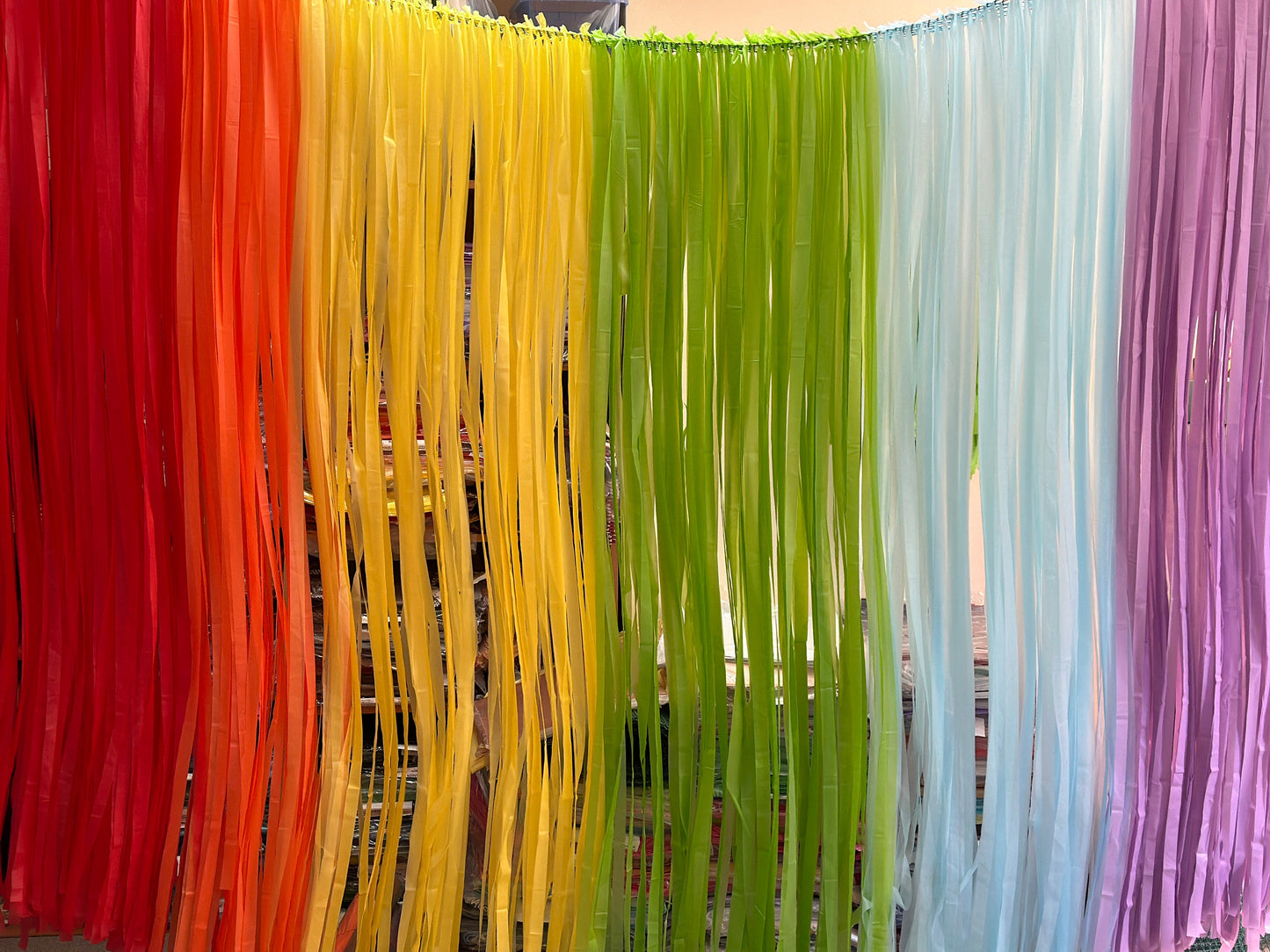 Fringe curtain Backdrop for Birthday Party Decorations, Photo Backdrop, Fiesta, Bachelorette Party, RAINBOW party Decorations