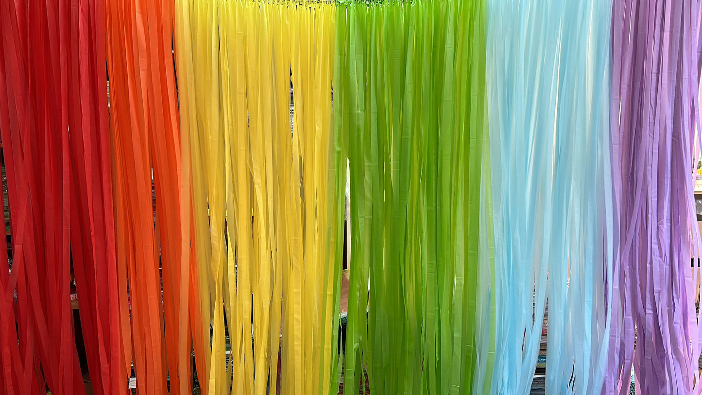 Fringe curtain Backdrop for Birthday Party Decorations, Photo Backdrop, Fiesta, Bachelorette Party, RAINBOW party Decorations