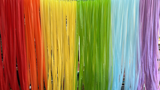 Fringe curtain Backdrop for Birthday Party Decorations, Photo Backdrop, Fiesta, Bachelorette Party, RAINBOW party Decorations
