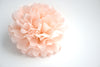 Pastel Tea Party Pom Pom Set - Blush, Champagne, Moss Green Paper Flowers - 10 pcs - Rustic Boho Wedding Decor bridal shower gift