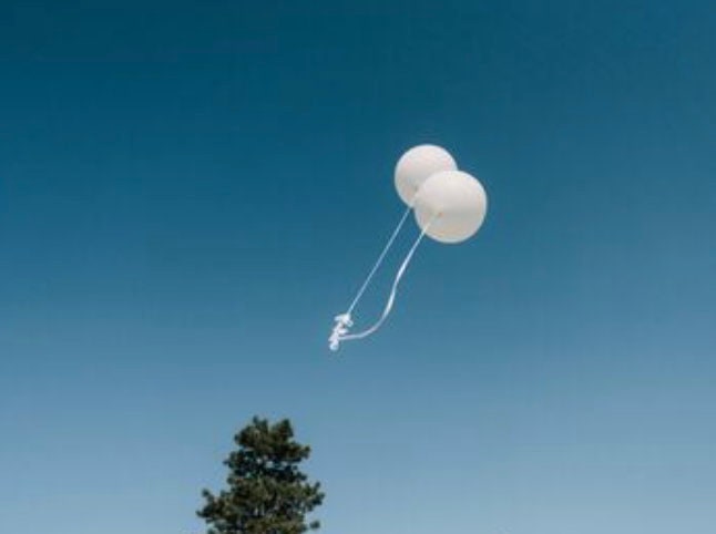 Giant White 36" Balloon Jumbo Wedding White Balloon Wedding White Balloon Party Decor Grad Party Baby Showers Birthdays Balloon Bouquet gift