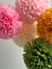 Pink, moss and mustard paper pom poms party decorations set 10/12/16 wedding birthday party decor paper flowers eco friendly decor