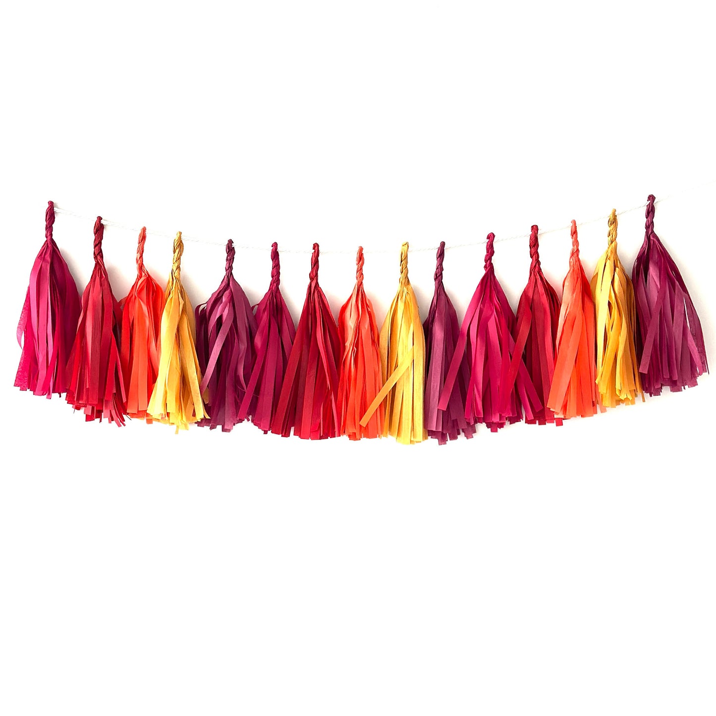 Handmade Paper Tassel Garland – Fall-Inspired Boho Party Décor | Fully Assembled & Customizable | Wedding, Baby Shower, Birthday Nursery