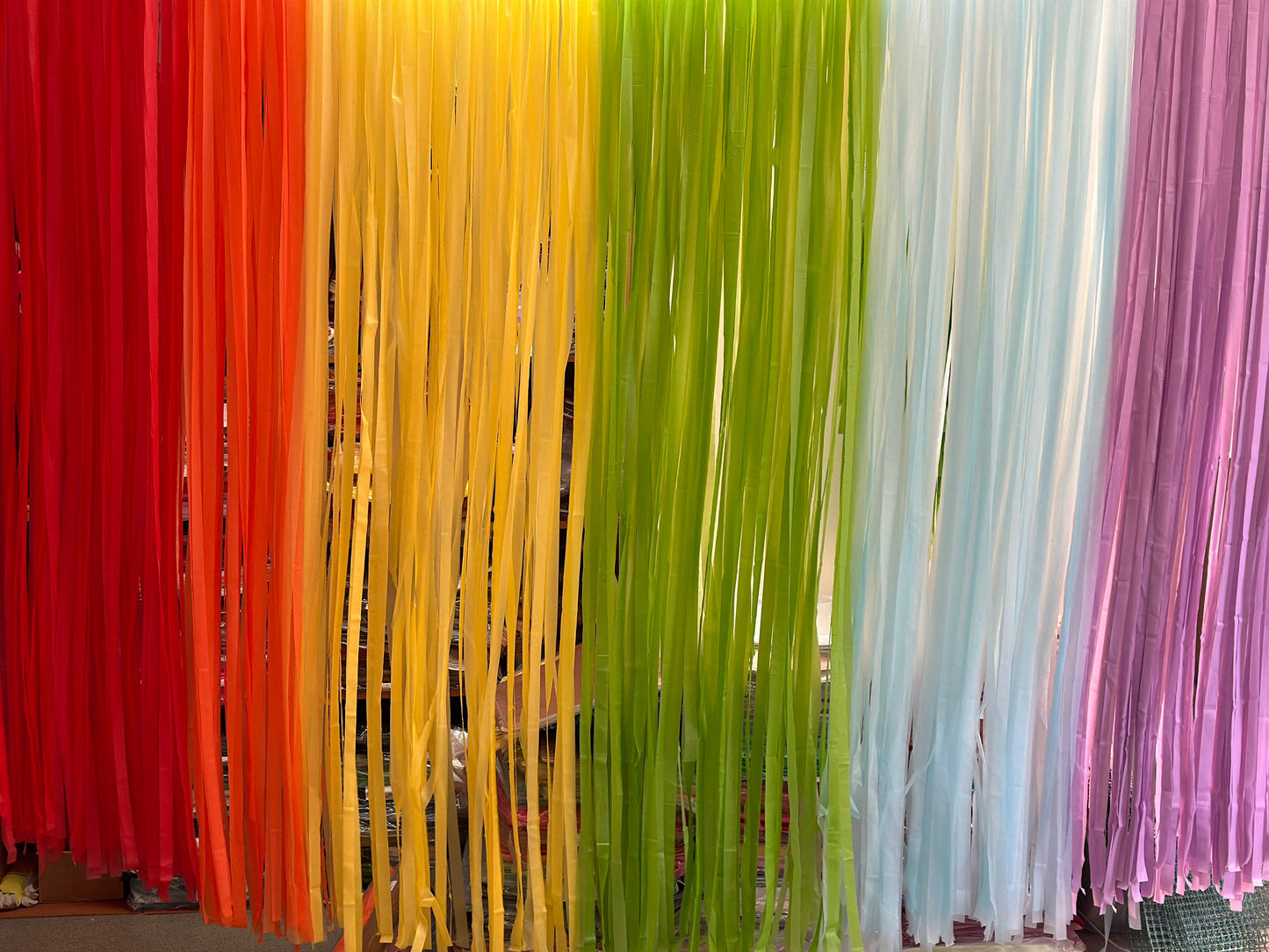 Fringe curtain Backdrop for Birthday Party Decorations, Photo Backdrop, Fiesta, Bachelorette Party, RAINBOW party Decorations
