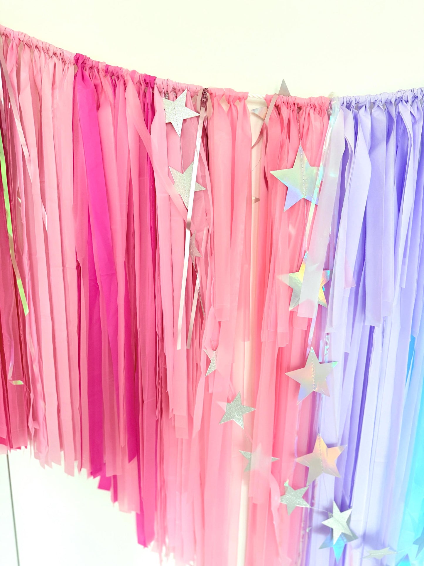 Pastel Fringe Tassel Garland – Reusable Party Backdrop for Birthdays, Baby Showers, Weddings, Unicorn & Mermaid Theme Decorations