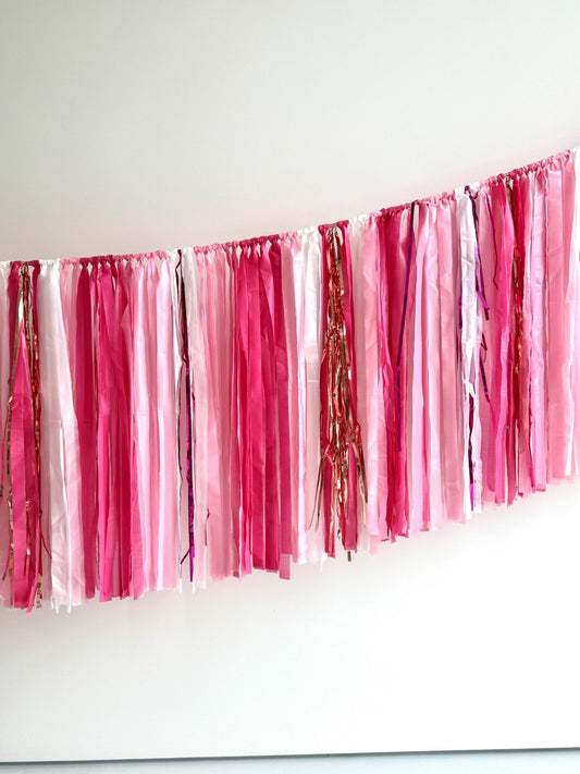Pinks and shimmery silver Fringe Tassel Garland – Reusable Party Decor for Birthdays, Baby Showers, Weddings & Bachelorette Parties