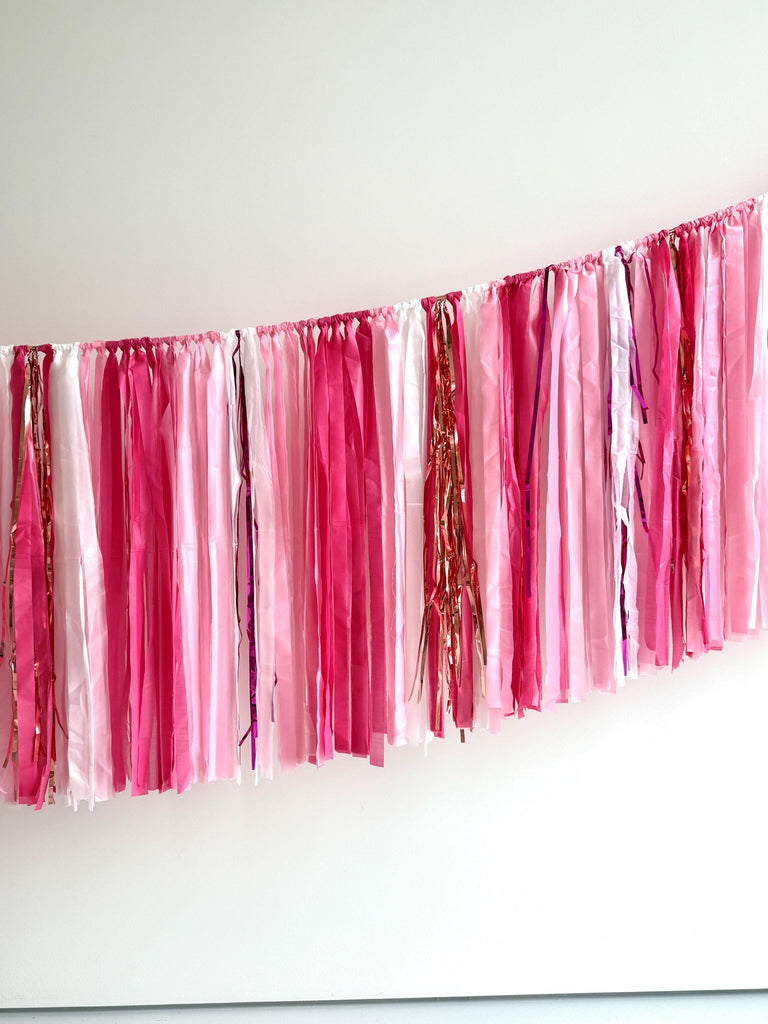 Pinks and shimmery silver Fringe Tassel Garland – Reusable Party Decor for Birthdays, Baby Showers, Weddings & Bachelorette Parties