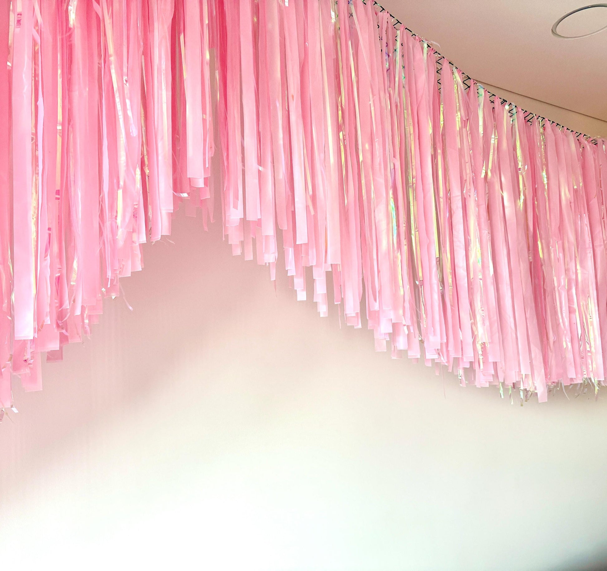 Iridescent Fringe Garland Backdrop – Handmade Party Streamers for Birthday, Baby Shower, Wedding Decor