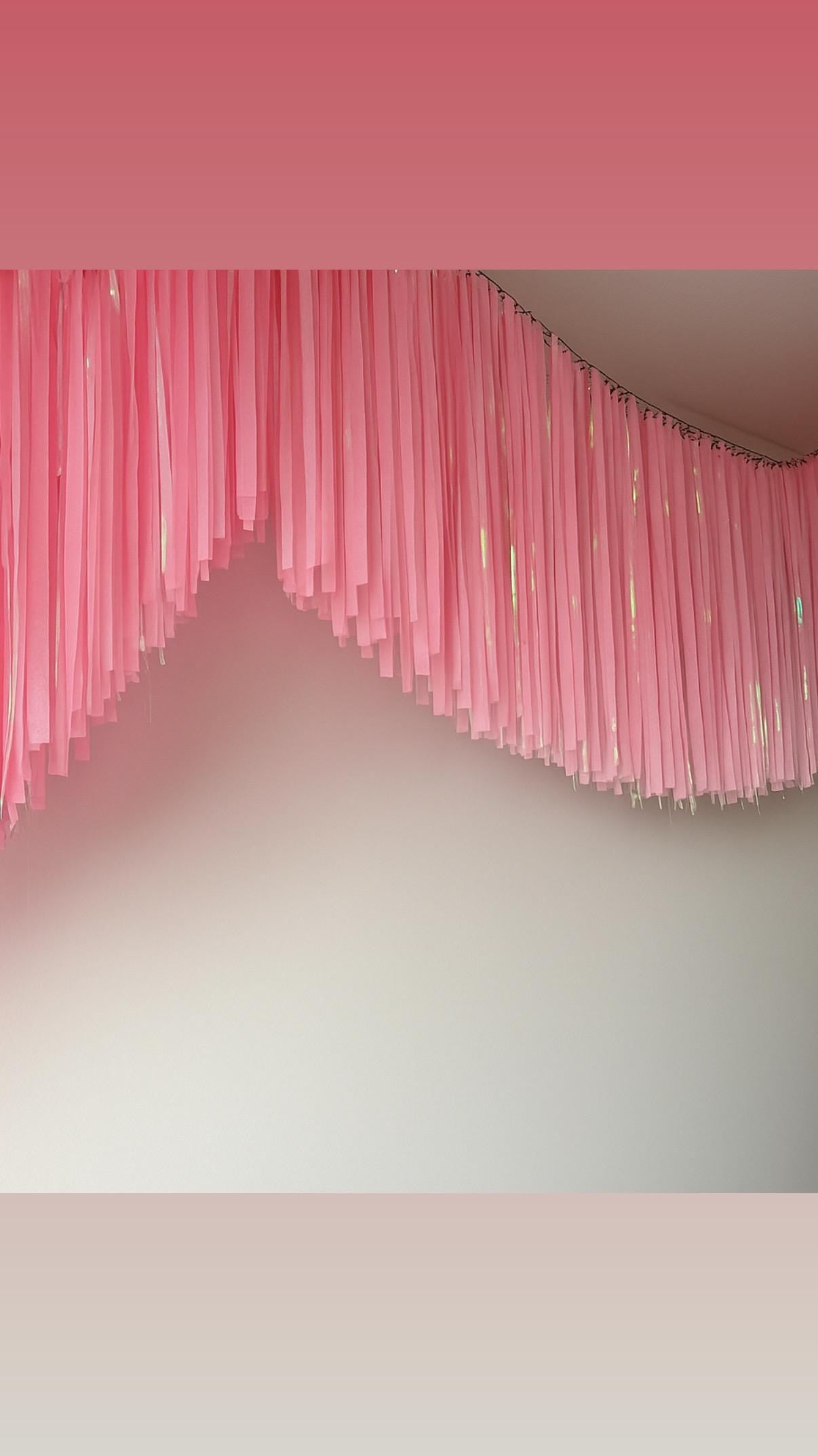 Iridescent Fringe Garland Backdrop – Handmade Party Streamers for Birthday, Baby Shower, Wedding Decor