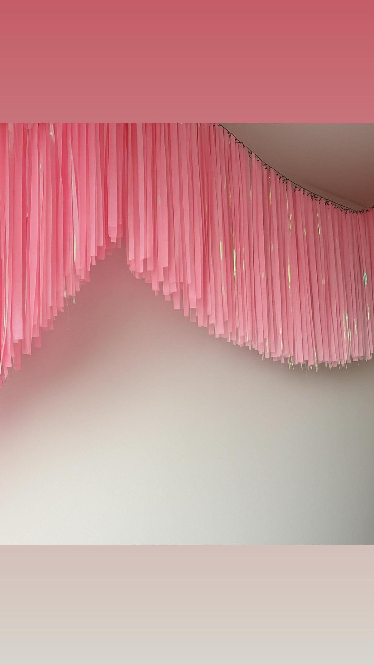 Iridescent Fringe Garland Backdrop – Handmade Party Streamers for Birthday, Baby Shower, Wedding Decor