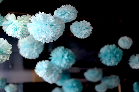 Customisable Tissue paper pom pom set of 24  for Baby shower, wedding, bridal shower, kids party, event decor, gift eco friendly