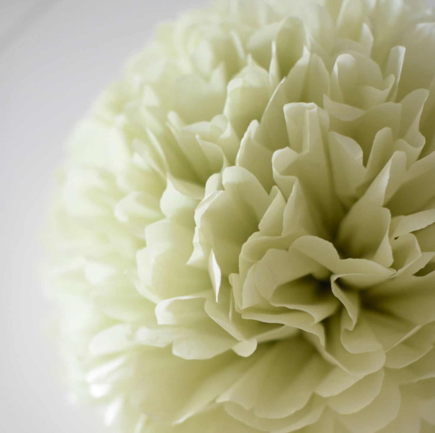 Celery green tissue Paper pom pom party decorations pale mint boho wedding paper flowers birthday party baby shower bridal shower home decor