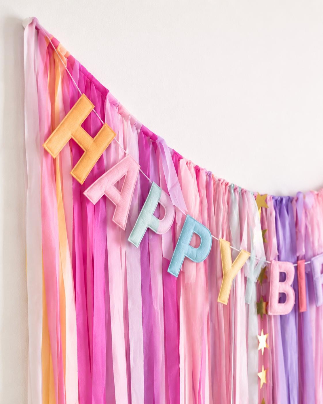 Streamer Backdrop, Fringe Backdrop, Birthday Party Decorations, Photo Backdrop, Bachelorette Party, Pink and Orange, Disco Party Decor