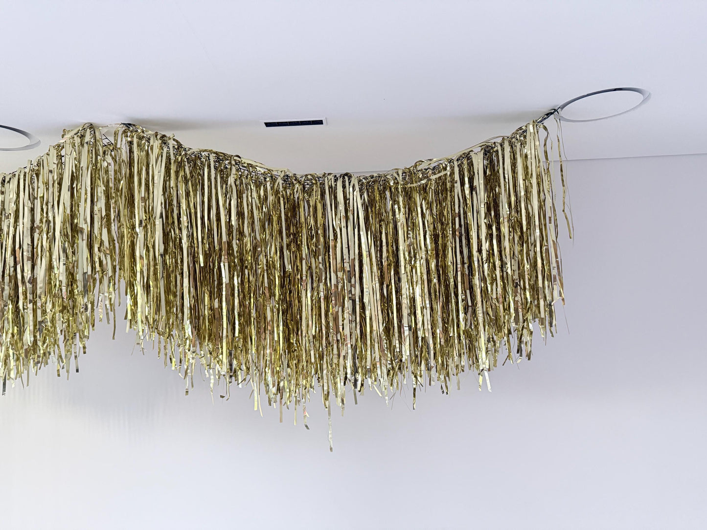 Light gold Fringe Garland, Ceiling Aerials, Streamer Backdrop, Metallic Party Decorations, Birthday Decor, New Year Party, Photo Backdrop