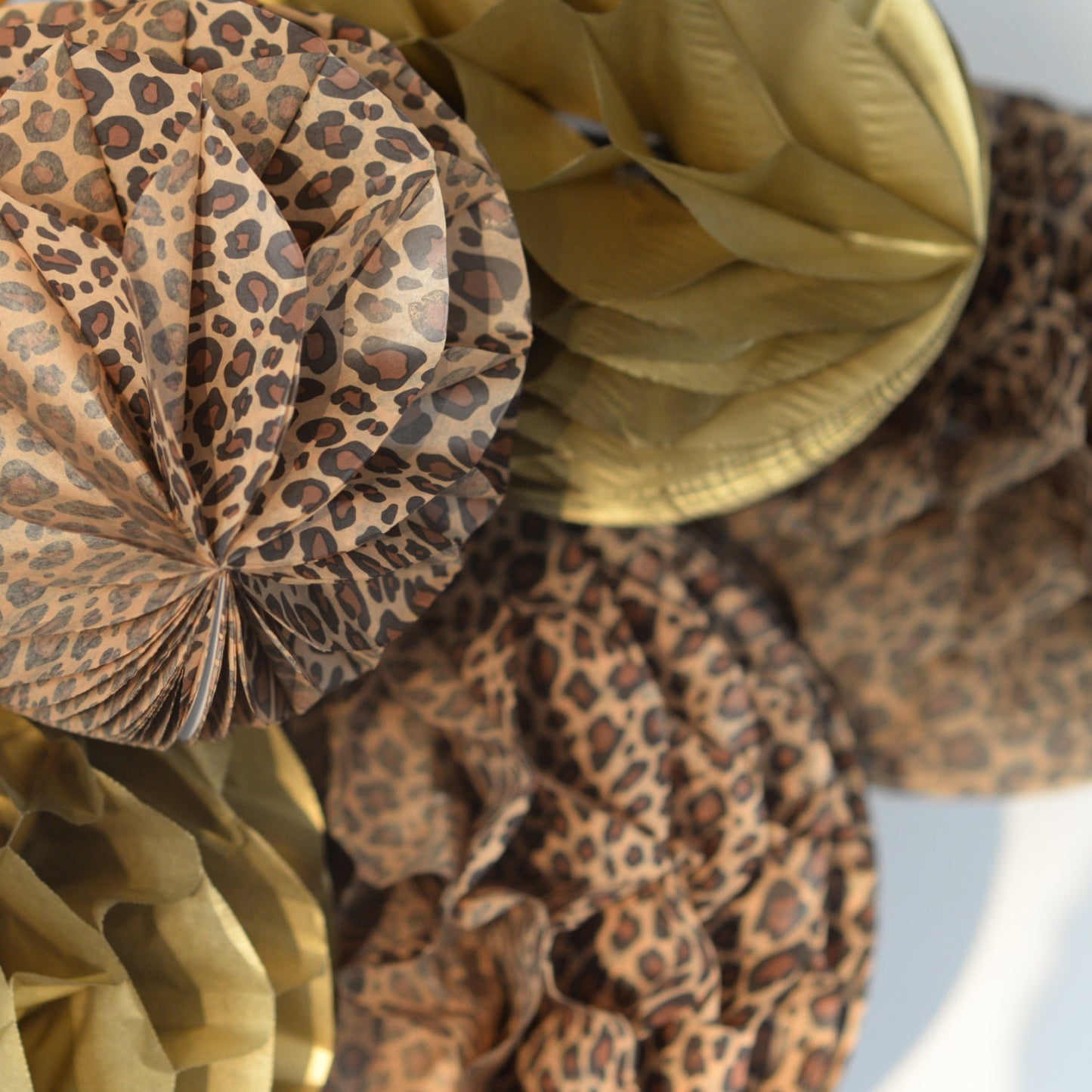 Leopard print paper pom poms set | Safari party decor | Jungle party decorations