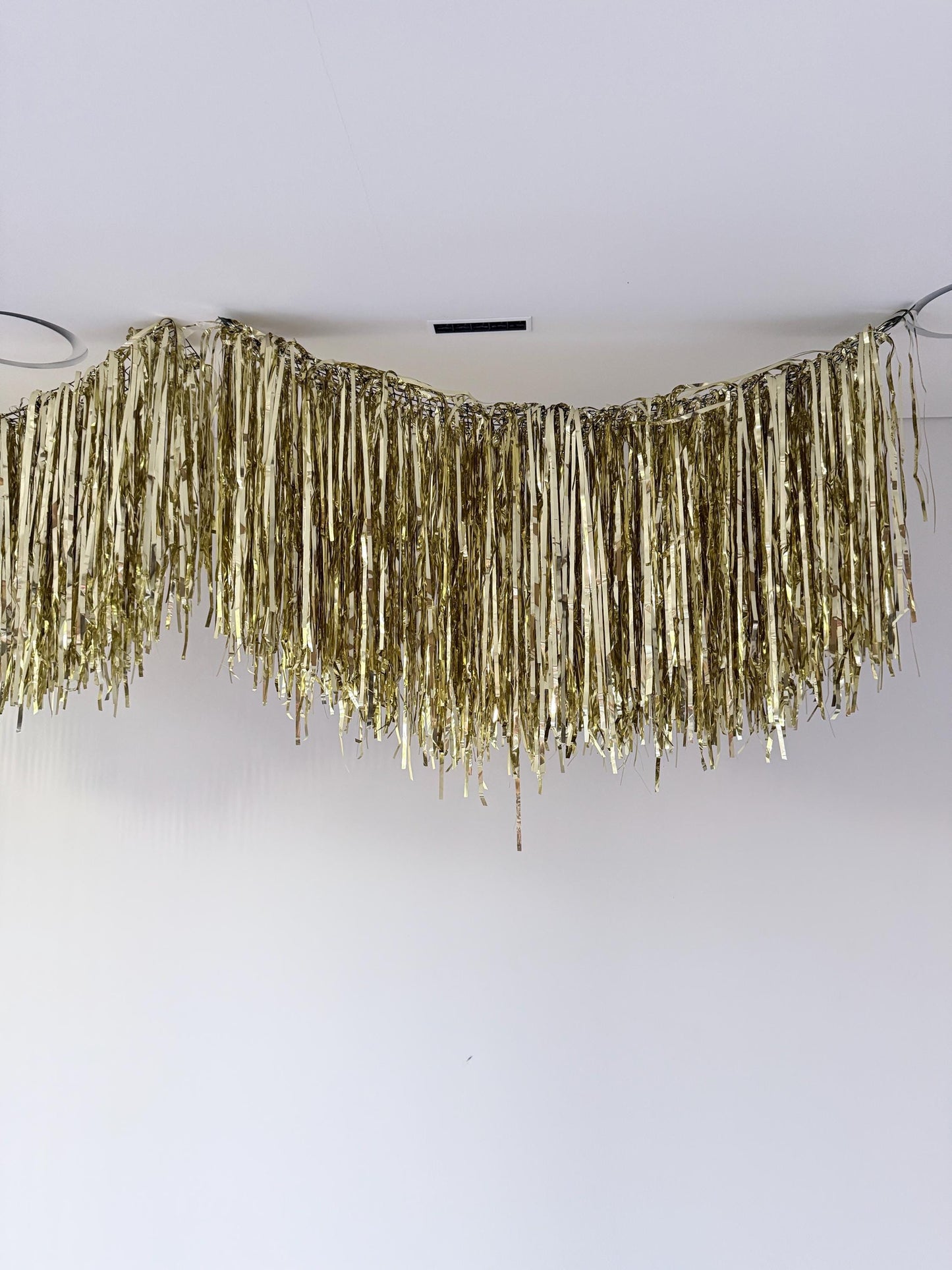 Light gold Fringe Garland, Ceiling Aerials, Streamer Backdrop, Metallic Party Decorations, Birthday Decor, New Year Party, Photo Backdrop