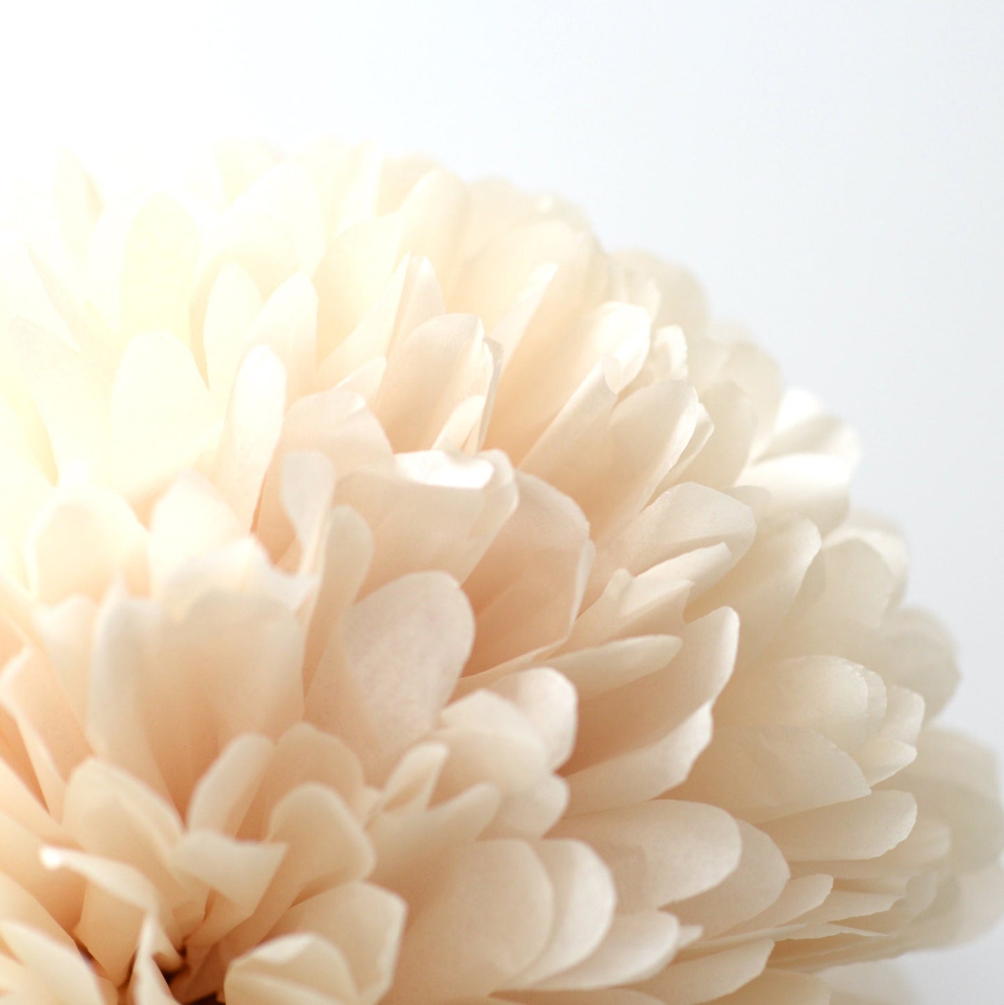 Beige tissue paper pom pom party decorations for wedding neutral baby shower birthday party home decor eco friendly Paper flowers