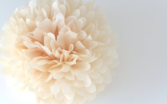 Beige tissue Paper pom pom party decorations Hand made Very Fluffy Neutral color Wedding birthday party baby shower sutainable decor